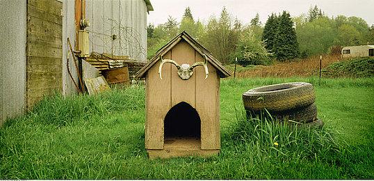 《艾尔登法环：黑夜君临》有黑魂Boss登场 晚上揍人